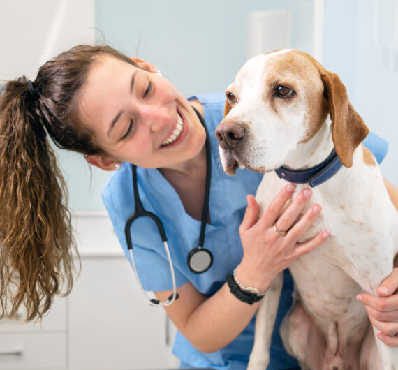 Young,Happy,Veterinary,Nurse,Smiling,While,Playing,With,A,Dog.